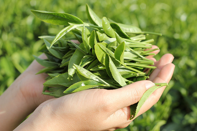 trị viêm da cơ địa tại nhà