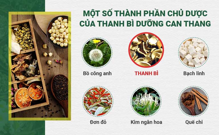 Một số chủ dược chính của Thanh bì Dưỡng can thang