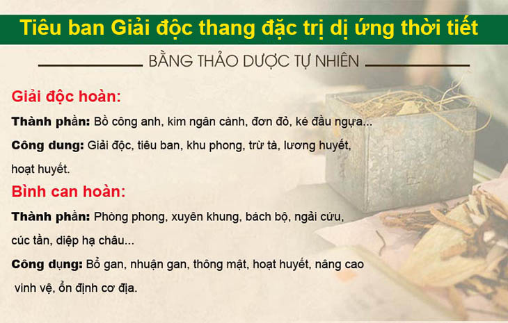 Thành phần, công dụng điều trị của bài thuốc Tiêu ban Giải độc thang