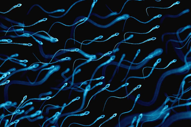 Yếu sinh lý có ảnh hưởng đến chất lượng tinh trùng ở nam giới?