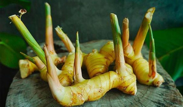 Thành phần, công dụng của riềng