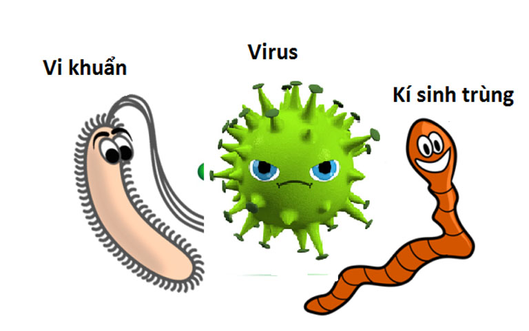 Viêm xoang trán có thể xảy ra khi bị các loại vi khuẩn và virus gây ra các bệnh lý về hệ hô hấp tấn công