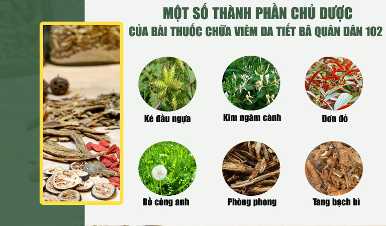 Một số thành phần chủ dược của bài thuốc chữa viêm da tiết bã Quân dân 102
