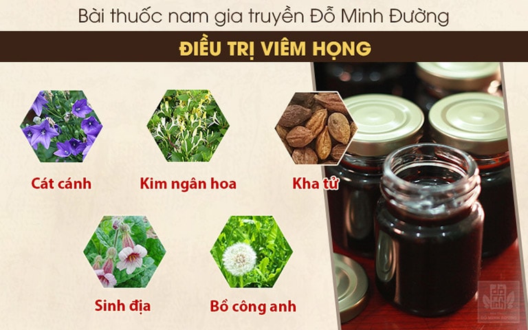 Nguồn dược liệu hoàn toàn tự nhiên góp mặt trong bài thuốc nam Đỗ Minh Đường chữa viêm họng