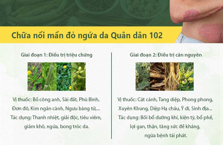 Liệu trình 2 giai đoạn