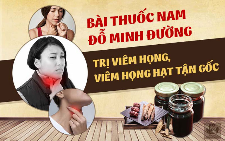 Bài thuốc đặc trị viêm họng của nhà thuốc Đỗ Minh Đường