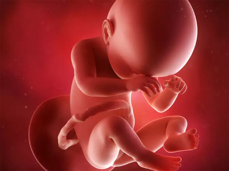 Viêm amidan khi mang thai không chỉ ảnh hưởng đến sức khỏe của sản phụ mà còn tác động không nhỏ đến sự phát triển của thai nhi