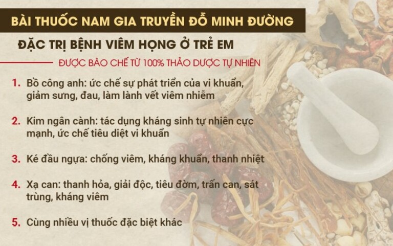 Dược liệu quý có mặt trong bài thuốc Đỗ Minh Đường chữa viêm họng cho trẻ Dược liệu quý có mặt trong bài thuốc Đỗ Minh Đường chữa viêm họng cho trẻ