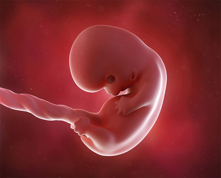 Đau dạ dày khi mang thai không chỉ tác động đến sức khỏe của thai phụ mà còn ảnh hưởng đến sự phát triển của thai nhi
