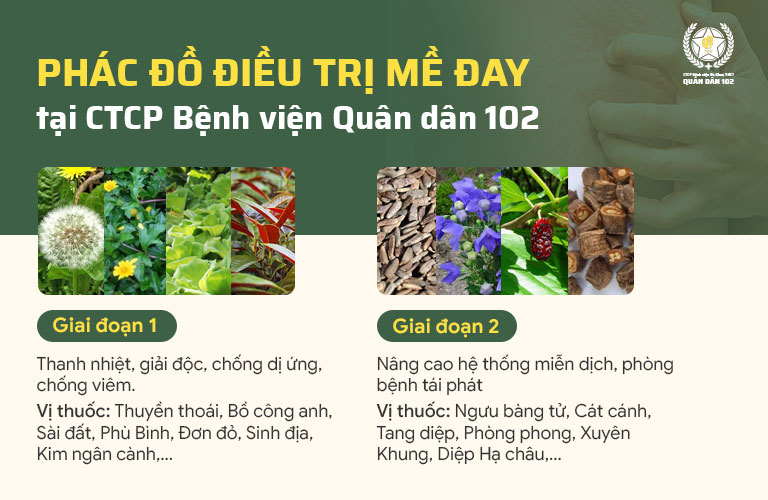 Phác đồ điều trị mề đay Quân Dân 102