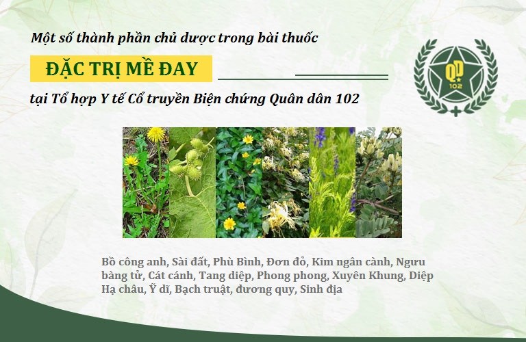Bài thuốc Mề đay Quân dân 102 được chia làm 2 giai đoạn, sử dụng 100% dược liệu tự nhiên Bài thuốc Mề đay Quân dân 102 được chia làm 2 giai đoạn, sử dụng 100% dược liệu tự nhiên