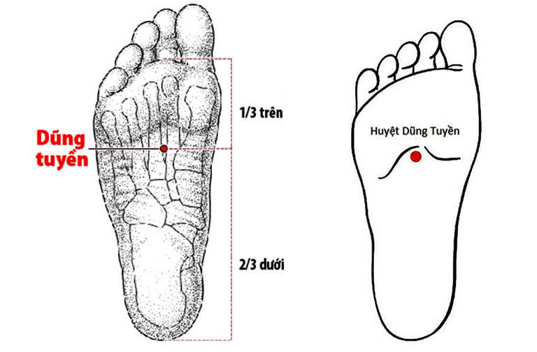 Tại chỗ hõm xuất hiện ở ⅓ trước gan bàn chân là vị trí của huyệt Dũng tuyền