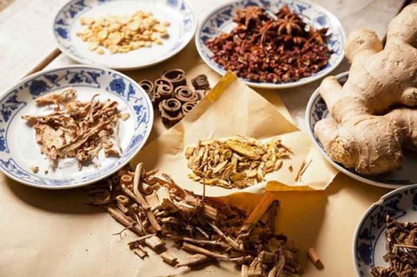 thuốc Nam chữa Polyp đại tràng
