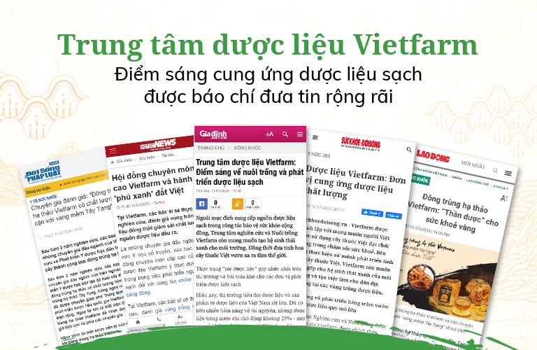 Vietfarm được nhiều trang báo chí lớn đưa tin, đánh giá cao