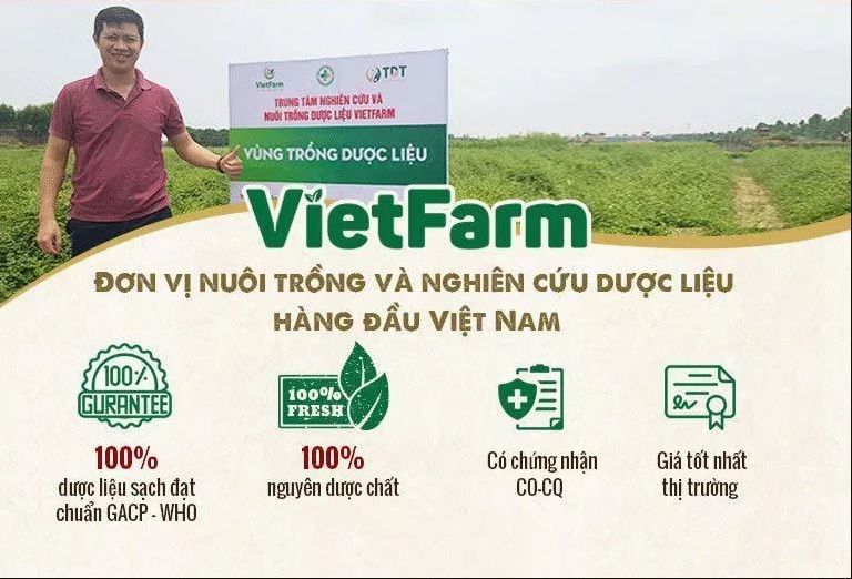 Vietfarm sở hữu những vùng trồng chuyên canh hữu cơ lớn trên cả nước