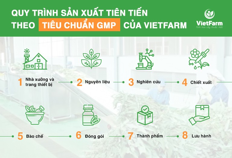 Quy trình sản xuất đạt chuẩn GMP của Vietfarm