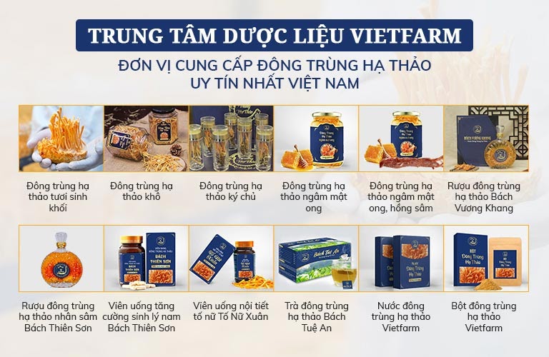 Các sản phẩm của đông trùng hạ thảo Vietfarm đang cung cấp ra thị trường