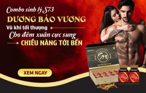 Dương Bảo Vương S73