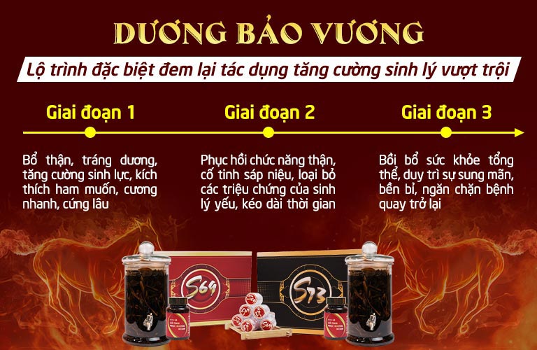 Dương Bảo Vương S73 tác động chuyên sâu theo từng giai đoan mang lại kết quả bền vững