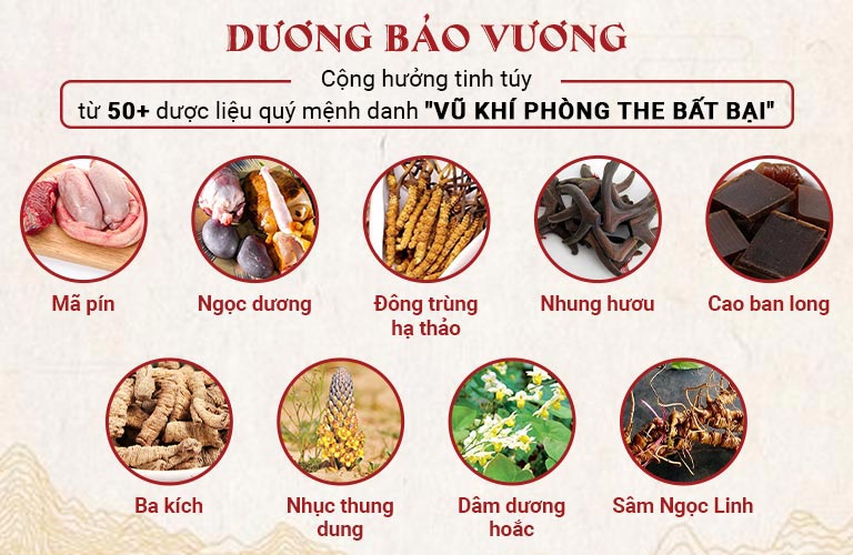 Dương Bảo Vương S69 - Sự cộng hưởng tinh túy của hơn 50 thảo dược quý hiếm, tác dụng tăng sinh lý ưu việt