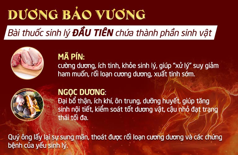 Dương Bảo Vương - Bài thuốc khắc phục xuất tinh sớm đầu tiên có chứa thành phần sinh vật