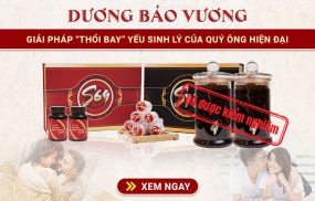 Dương Bảo Vương – Giải Pháp “Thổi Bay” Yếu Sinh Lý Của Quý Ông Hiện Đại